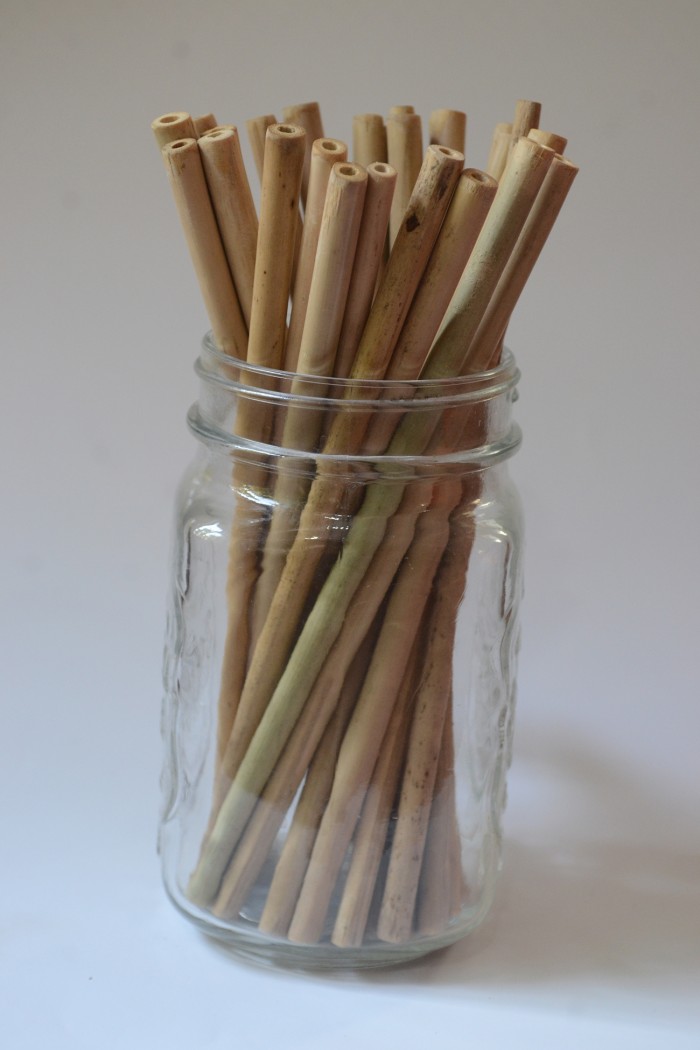 Almitra Sustainables: Reusable Bamboo Straw