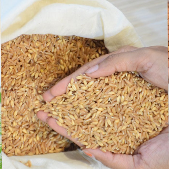 Emmer's Wheat | Jawe Godi
