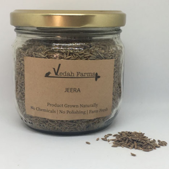 Jeera | Cumin Seeds