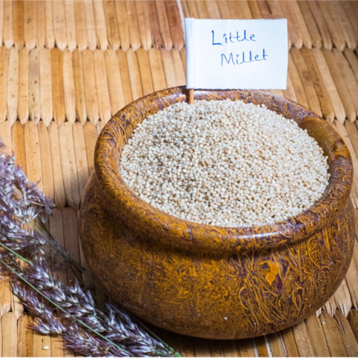 Little Millet | Saame 