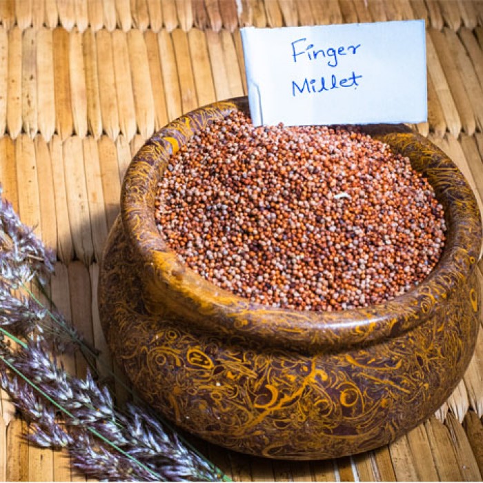 Ragi | Finger Millet