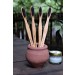 Almitra Sustainables Bamboo Charcoal Toothbrush